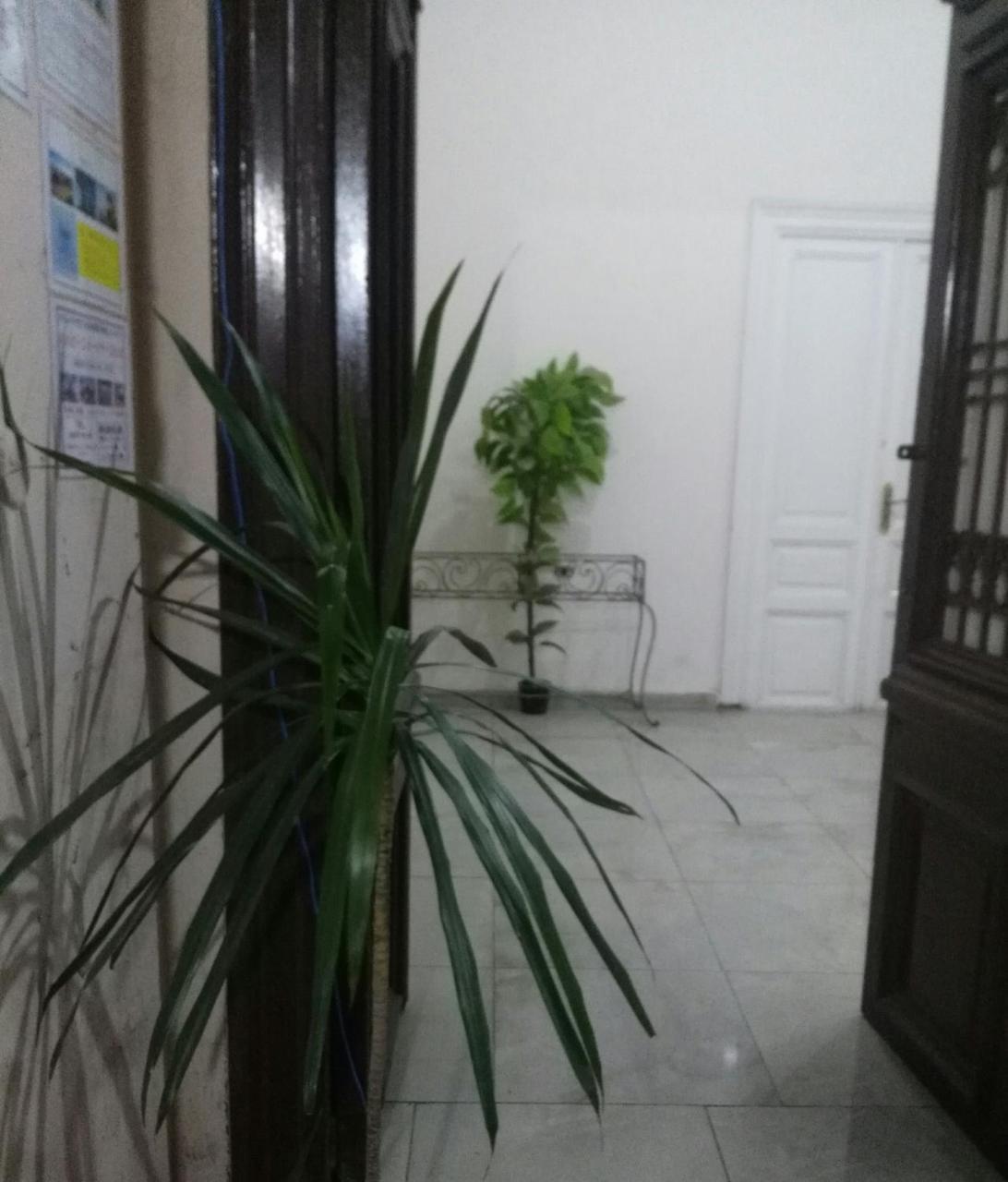 Safary Hostel Cairo Exterior foto